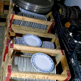 tarelkalar barip alaman