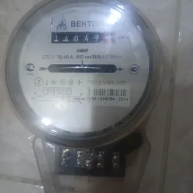 Электрический счетчик