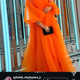 Gatovy koynek geyilmedik