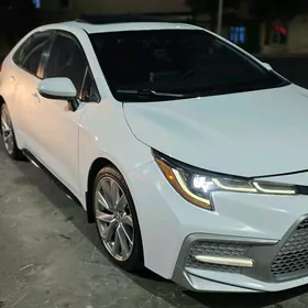 Toyota Corolla 2021