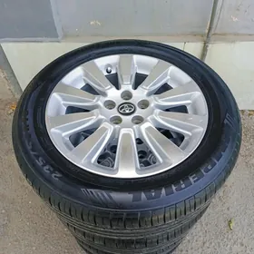 Sienna disge pakryşga 18 morda