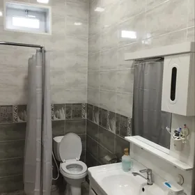 Düzmergen  şatlyk jaý