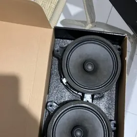 carolla yewrapeykan kalonkasy