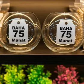 мини аквариум