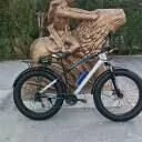 TIGIR GERMANŶA ТИГИР ГЕРМАЯ