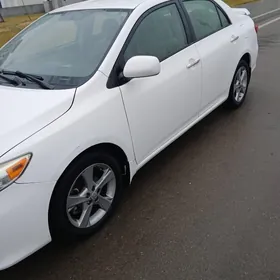 WODITEL gerek bolsa Jan edayin