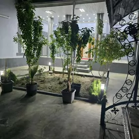 TÄZEZAMAN KOTEJ GÜNLÜK