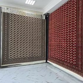 Oguzhan Haly kredit 6-12-24 ay