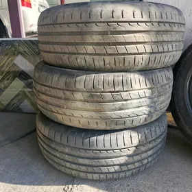 225 55 17 teker tigir SAILUN