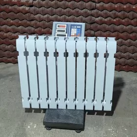 Çoýun Ataplenýa Batareý