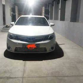 Toyota Camry 2013