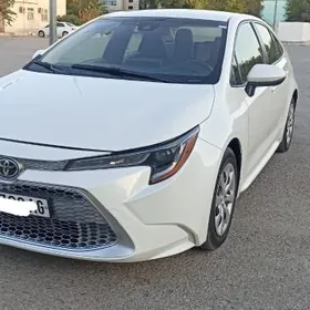Toyota Corolla 2020