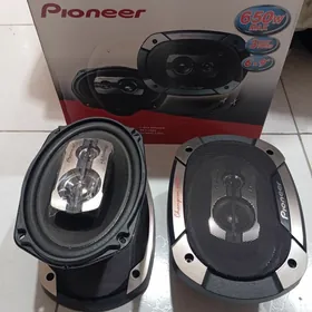 Pioneer 650w