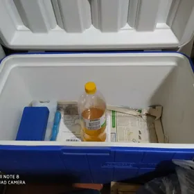 холодильник