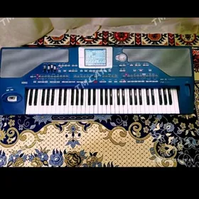 Korg pa 800