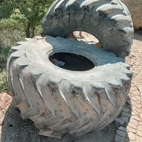 SATLYK ULY TIGIRLER 2SANY