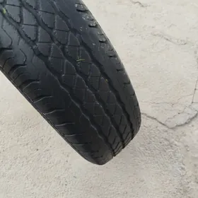 gazel tigir 185.75.16.