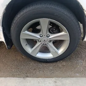 mary diska pokryska 17 lik