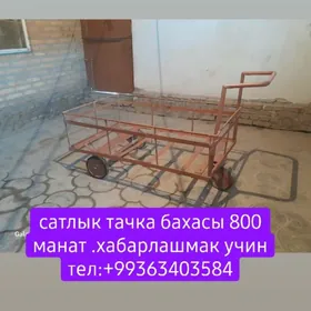 Dunýa Bazar taçka (Araba)