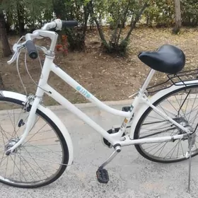 tigir Ýapoşga welik