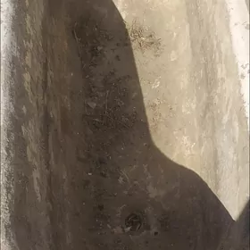 Wanna Palçyk.uçin.