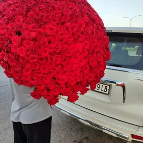 optom baha žiwoy güller