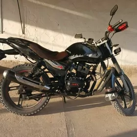 Fekon FK200-14G 2014