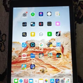 iPad