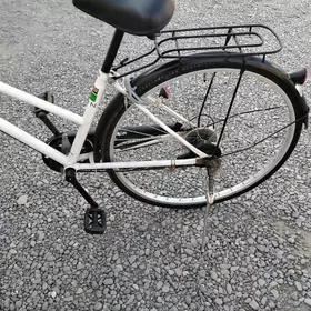 YAPOŞKA TIGIR 27 LIK