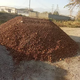 miti ders pakdas keremsit cage