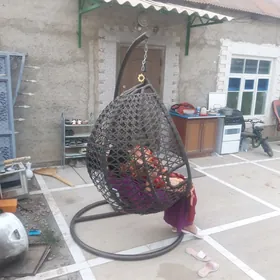 качелия таза