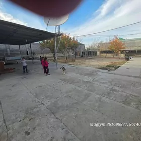 Anew Ahal koçe 10 sotok