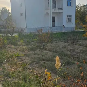 SATLYK 1 TAZE ZAMAN KOTEZ