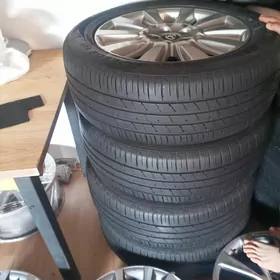 sienna limited diska