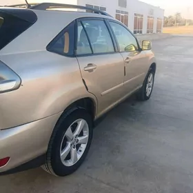 Lexus RX 330 2004