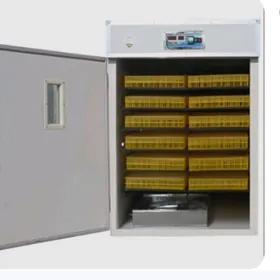 инкубатор /inkubator