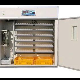 инкубатор/ inkubator