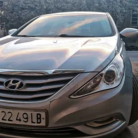 Hyundai Sonata 2011