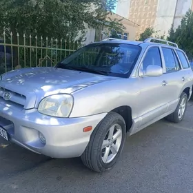 Hyundai Santa Fe 2004