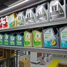 ARGINAL ŸAGLAR YNAMLY