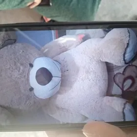 satlik mişka tazeje