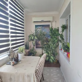  ГАУДАН 3-КОМ