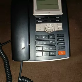 телефон Akita