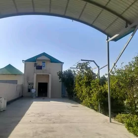 Ànew plan jaý eýesinden