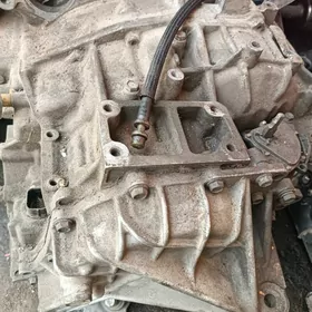 Leksus maror karopka