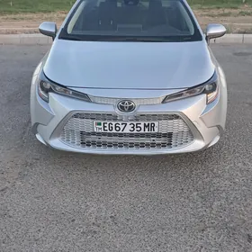 Toyota Corolla 2021