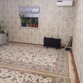 Satlyk jay Sarahs et