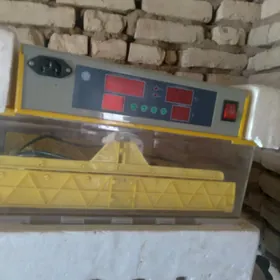 Инкубатор турецкий