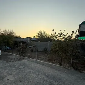 Anew 6-sotak Ak maya