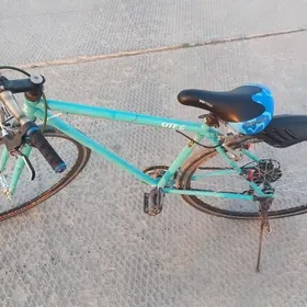 Tigir. Велосипед. Welik